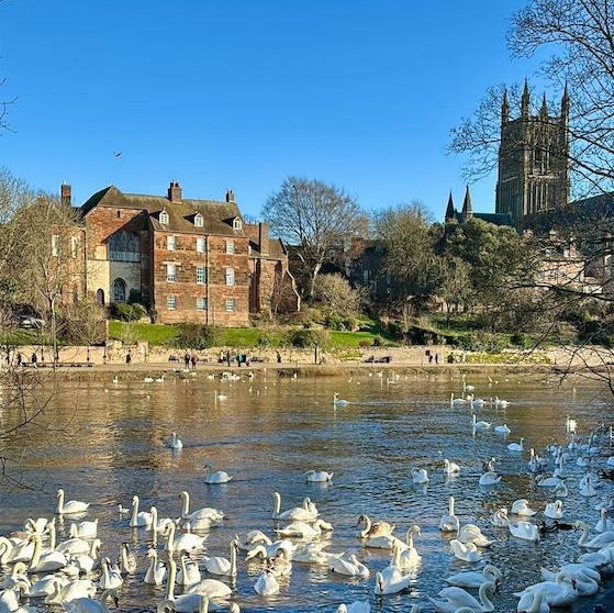 Worcestershire saniflo repair worcester